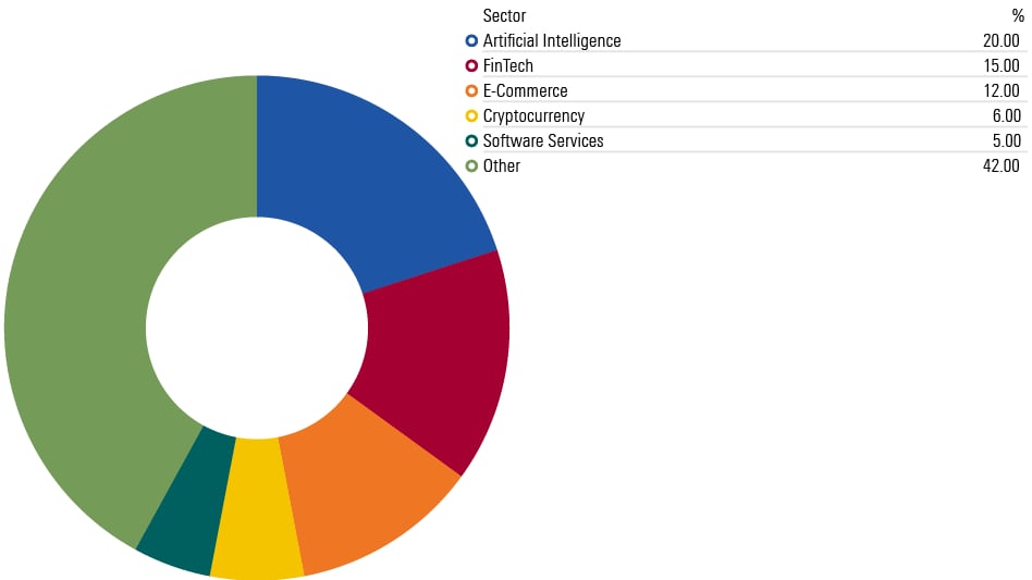 Et sektordiagram som viser bransjevektingen for investeringsenhjørningsaksjer, per 30. juni 2023.