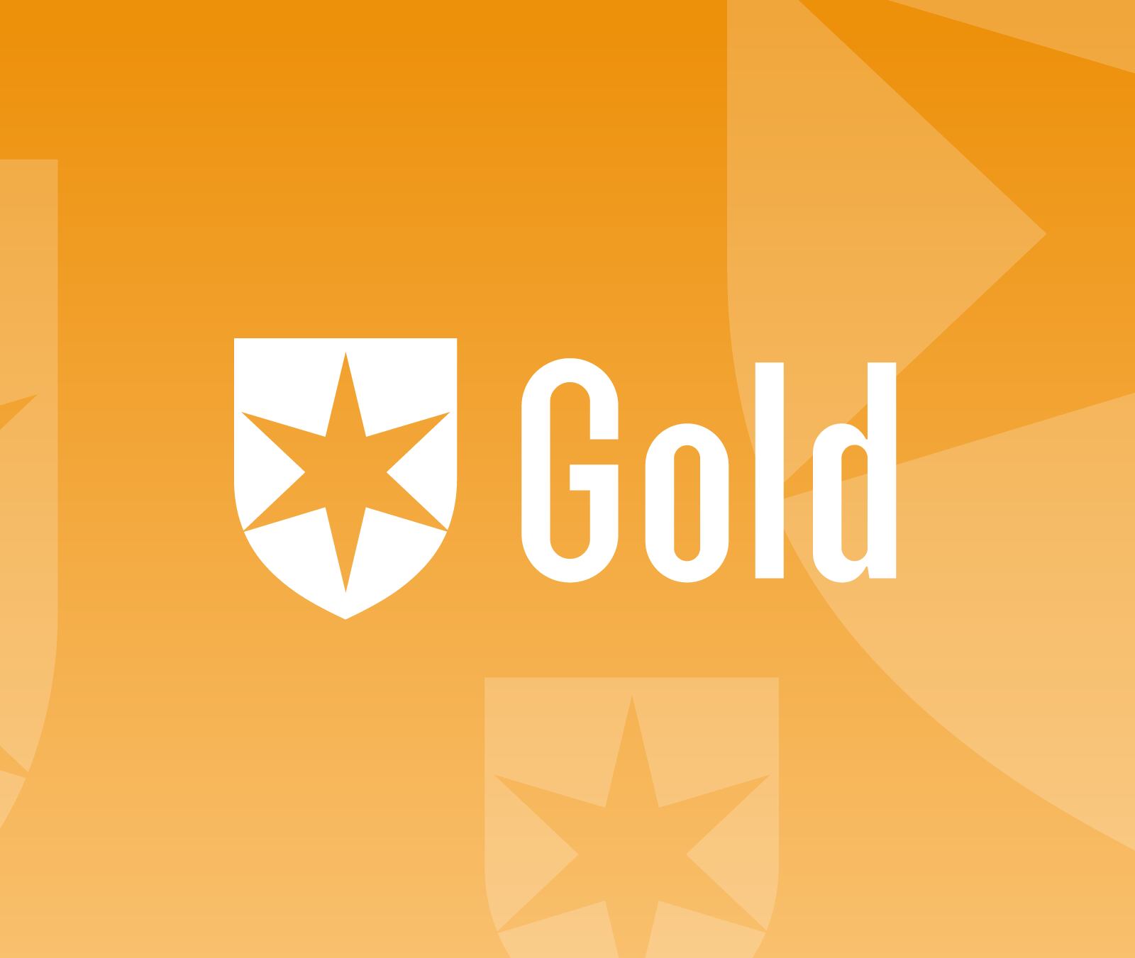 The Best SmallCap Funds Morningstar