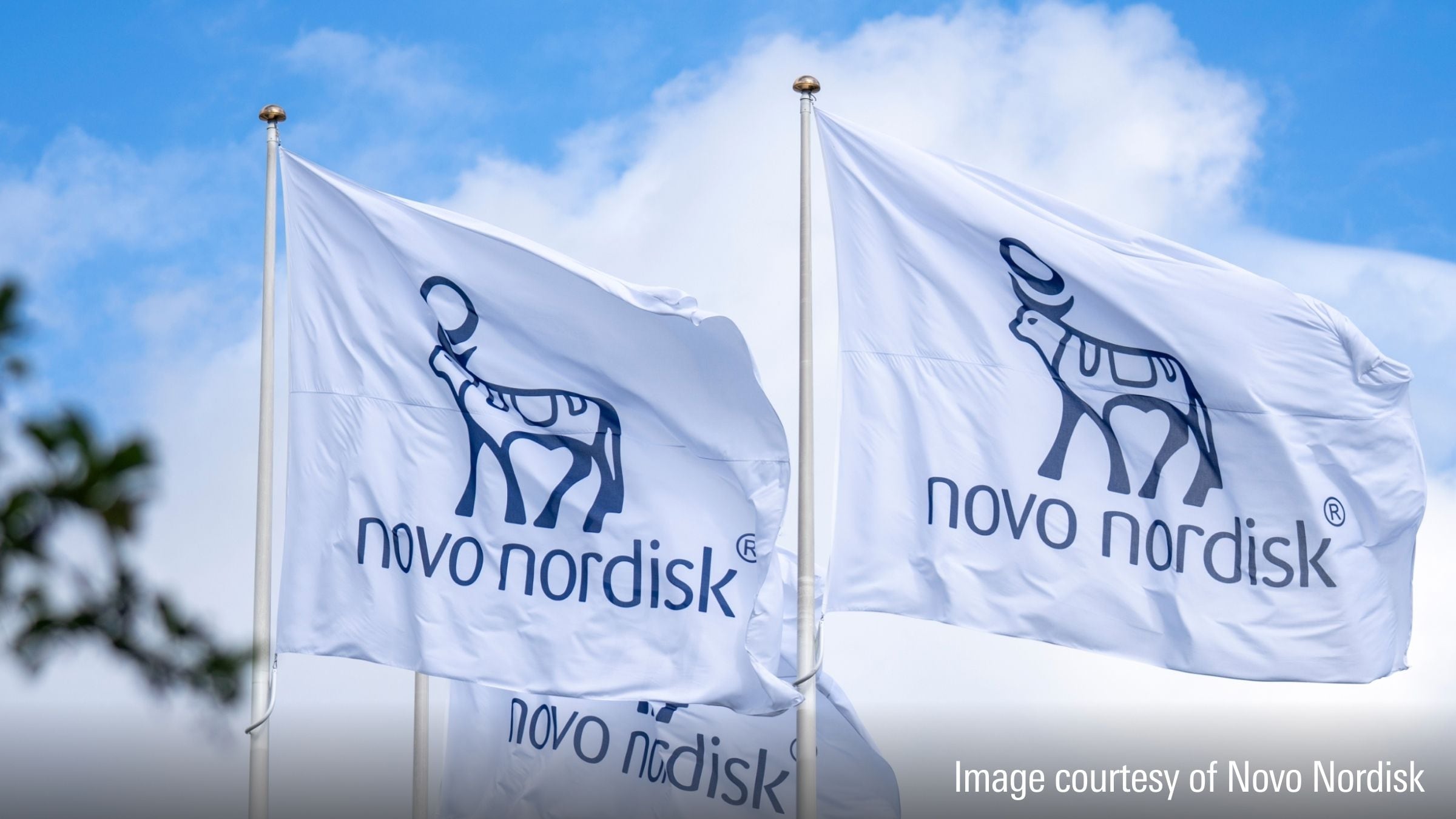 Novo nordisk logo on waving flags