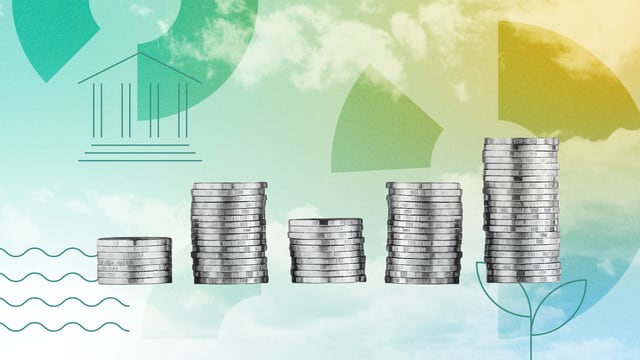 abstract graphic featuring coins and plants